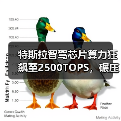 特斯拉智驾芯片算力狂飙至2500TOPS,碾压英伟达引领智能驾驶新纪元(图3) 特斯拉智驾芯片算力狂飙至2500TOPS,碾压英伟达引领智能驾驶新纪元(图3)