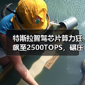 特斯拉智驾芯片算力狂飙至2500TOPS,碾压英伟达引领智能驾驶新纪元(图4) 特斯拉智驾芯片算力狂飙至2500TOPS,碾压英伟达引领智能驾驶新纪元(图4)