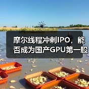 摩尔线程冲刺IPO,能否成为国产GPU第一股?(图2) 摩尔线程冲刺IPO,能否成为国产GPU第一股?(图2)