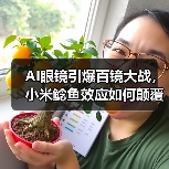 AI眼镜引爆百镜大战,小米鲶鱼效应如何颠覆市场?(图3) AI眼镜引爆百镜大战,小米鲶鱼效应如何颠覆市场?(图3)