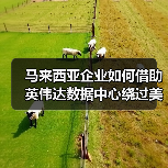 马来西亚数据中心是否成中企绕过美国制裁新路径？