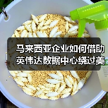 马来西亚企业如何借助英伟达数据中心绕过美国AI芯片禁令?(图3) 马来西亚企业如何借助英伟达数据中心绕过美国AI芯片禁令?(图3)
