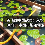 英飞凌中国战略：入华30年，中国市场如何驱动其全球转型？
