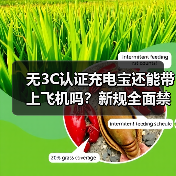 无3C认证充电宝还能带上飞机吗？新规全面禁令背后的安全隐患（图3）