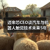 迈来芯CEO谈汽车与机器人触觉技术未来5年发展蓝图(图2) 迈来芯CEO谈汽车与机器人触觉技术未来5年发展蓝图(图2)