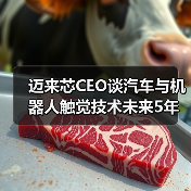 迈来芯中国战略深挖：本土化布局与非汽车业务增长如何驱动未来？