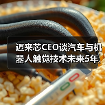 迈来芯CEO谈汽车与机器人触觉技术未来5年发展蓝图(图4) 迈来芯CEO谈汽车与机器人触觉技术未来5年发展蓝图(图4)