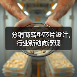 分销商进军芯片设计，转型路径有何启示？