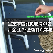 黑芝麻智能拟收购AI芯片企业 补全智能汽车与机器人产业链（图2）