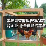 黑芝麻智能拟收购AI芯片企业 补全智能汽车与机器人产业链（图3）