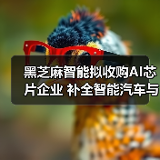 黑芝麻智能拟收购AI芯片企业 补全智能汽车与机器人产业链（图4）