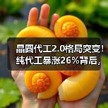 AI驱动下的晶圆代工2.0市场增长加速