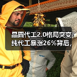 晶圆代工2.0格局突变!纯代工暴涨26%背后,台积电35%份额揭示行业新趋势(图2) 晶圆代工2.0格局突变!纯代工暴涨26%背后,台积电35%份额揭示行业新趋势(图2)