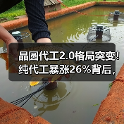晶圆代工2.0格局突变!纯代工暴涨26%背后,台积电35%份额揭示行业新趋势(图4) 晶圆代工2.0格局突变!纯代工暴涨26%背后,台积电35%份额揭示行业新趋势(图4)