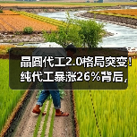 晶圆代工2.0格局突变!纯代工暴涨26%背后,台积电35%份额揭示行业新趋势(图3) 晶圆代工2.0格局突变!纯代工暴涨26%背后,台积电35%份额揭示行业新趋势(图3)