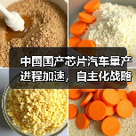 中国汽车芯片自主化提速，国产替代如何突破？