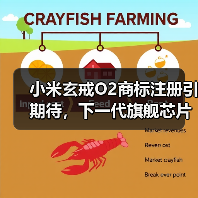 小米玄戒O2商标注册引期待,下一代旗舰芯片即将登场?(图2) 小米玄戒O2商标注册引期待,下一代旗舰芯片即将登场?(图2)