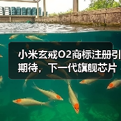 小米玄戒O2商标注册引期待,下一代旗舰芯片即将登场?(图4) 小米玄戒O2商标注册引期待,下一代旗舰芯片即将登场?(图4)