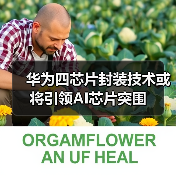 华为四芯片封装技术或将引领AI芯片突围(图2) 华为四芯片封装技术或将引领AI芯片突围(图2)