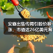 安霸出售传闻引股价暴涨，市值达26亿美元背后的机遇