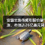 安霸出售传闻引股价暴涨,市值达26亿美元背后的机遇(图2) 安霸出售传闻引股价暴涨,市值达26亿美元背后的机遇(图2)