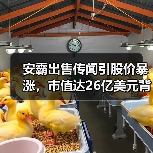 安霸出售传闻引股价暴涨,市值达26亿美元背后的机遇(图3) 安霸出售传闻引股价暴涨,市值达26亿美元背后的机遇(图3)