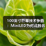 100英寸巨幕技术争霸：MiniLED为何成胜者？