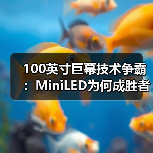 100英寸巨幕技术争霸:MiniLED为何成胜者?(图3) 100英寸巨幕技术争霸:MiniLED为何成胜者?(图3)