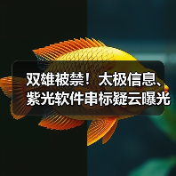 双雄被禁!太极信息、紫光软件串标疑云曝光(图2) 双雄被禁!太极信息、紫光软件串标疑云曝光(图2)