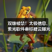 双雄被禁！太极信息、紫光软件串标疑云曝光