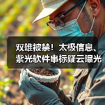 双雄被禁!太极信息、紫光软件串标疑云曝光(图4) 双雄被禁!太极信息、紫光软件串标疑云曝光(图4)