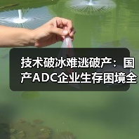 技术破冰难逃破产：国产ADC企业生存困境全解析