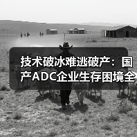 技术破冰难逃破产:国产ADC企业生存困境全解析(图4) 技术破冰难逃破产:国产ADC企业生存困境全解析(图4)