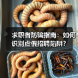 求职者防骗指南：如何识别虚假招聘陷阱？（图3）
