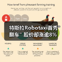 特斯拉Robotaxi首秀 特斯拉Robotaxi首秀