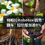 特斯拉Robotaxi首秀 特斯拉Robotaxi首秀