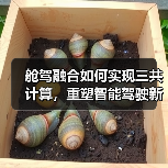 舱驾融合如何实现三共计算,重塑智能驾驶新范式(图2) 舱驾融合如何实现三共计算,重塑智能驾驶新范式(图2)