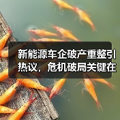 新能源车企破产重整引热议，危机破局关键在哪？（图1）