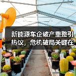 新能源车企破产重整引热议，危机破局关键在哪？（图2）