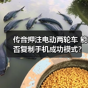 传音押注电动两轮车 能否复制手机成功模式?(图4) 传音押注电动两轮车 能否复制手机成功模式?(图4)