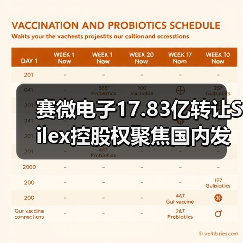 赛微电子17.83亿转让Silex控股权聚焦国内发展（图2）