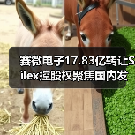 赛微电子17.83亿转让Silex控股权聚焦国内发展（图4）