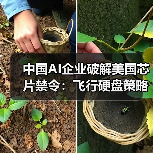 中国AI企业破解美国芯片禁令：飞行硬盘策略抢滩海外算力（图2）