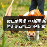 虞仁荣再添IPO新军 新恒汇创业板上市创纪录（图4）