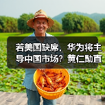 若美国缺席，华为将主导中国市场？黄仁勋直言AI竞争关键（图2）