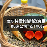 奥尔特曼利益输送真相:80家公司与5100万芯片交易曝光(图1) 奥尔特曼利益输送真相:80家公司与5100万芯片交易曝光(图1)