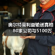 奥尔特曼利益输送真相:80家公司与5100万芯片交易曝光(图4) 奥尔特曼利益输送真相:80家公司与5100万芯片交易曝光(图4)