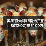 奥尔特曼利益输送真相:80家公司与5100万芯片交易曝光(图3) 奥尔特曼利益输送真相:80家公司与5100万芯片交易曝光(图3)