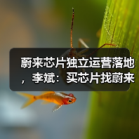 蔚来芯片独立运营落地,李斌:买芯片找蔚来(图3) 蔚来芯片独立运营落地,李斌:买芯片找蔚来(图3)