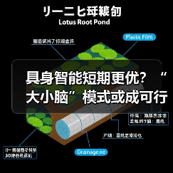 具身智能短期更优？“大小脑”模式或成可行方案（图2）